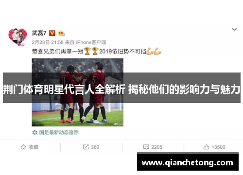 荆门体育明星代言人全解析 揭秘他们的影响力与魅力